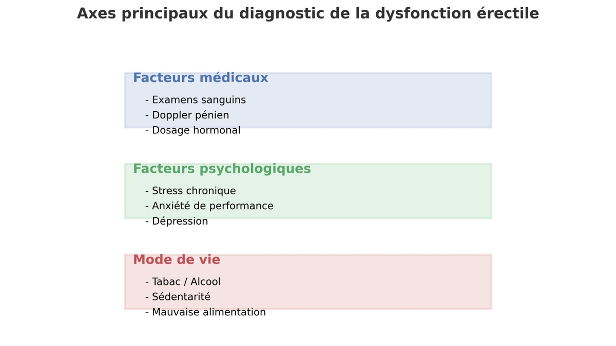 Axes principaux du diagnostic de la dysfonction érectile