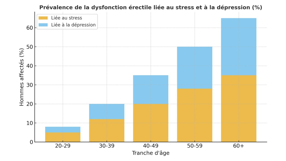 Infographie : Prévalence de la dysfonction érectile liée au stress et à la dépression (%)