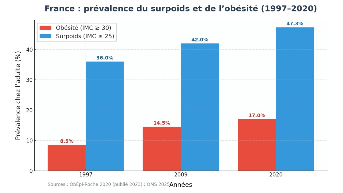 Infographie : Surpoids et obésité en France 2025